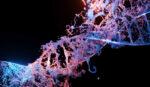 Científicos construyeron la antena más pequeña del mundo, y está hecha de ADN